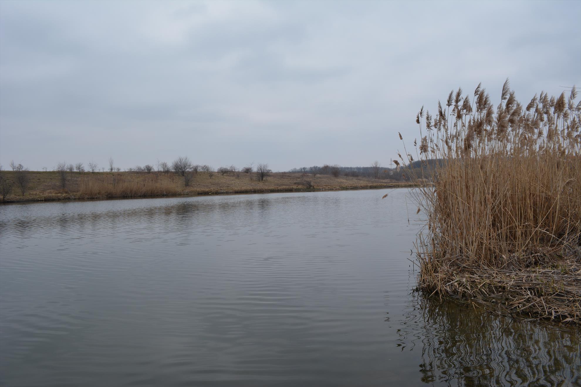 Partida 26.02.2014 - dsc0012.JPG